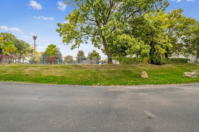1198 Saint Clair Ave, Saint Paul, MN 55105 - view of yard