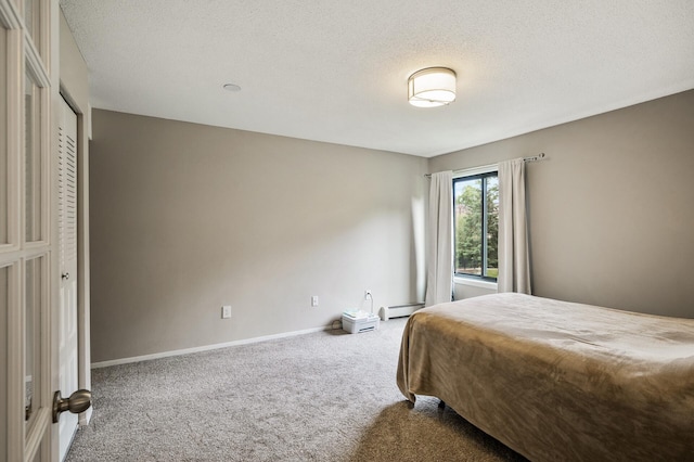 7510 Cahill Rd Unit 211B, Edina, MN 55439 - bedroom featuring carpet floors, baseboard heating, and a textured ceiling