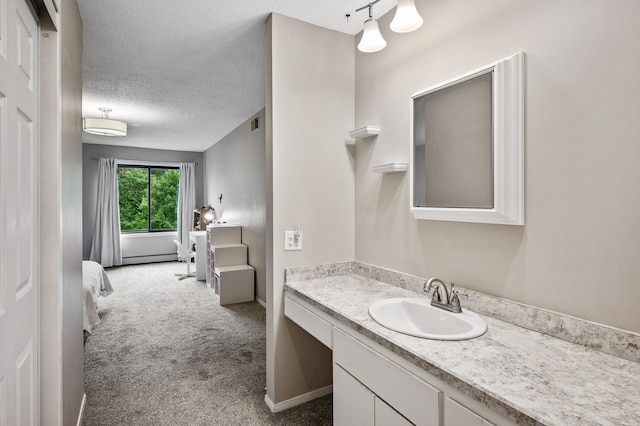 7510 Cahill Rd Unit 211B, Edina, MN 55439 - ensuite bathroom featuring vanity and a textured ceiling