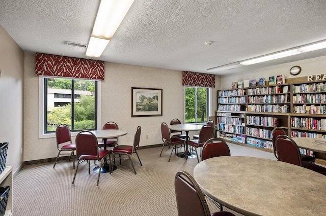 7510 Cahill Rd Unit 211B, Edina, MN 55439 - home office with a textured ceiling, carpet floors, and healthy amount of natural light