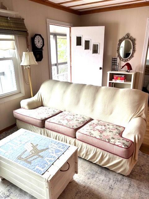 13394 77th St NW, Annandale, MN 55302 - living area with healthy amount of natural light