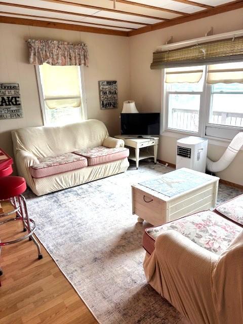 13394 77th St NW, Annandale, MN 55302 - living room with wood finished floors