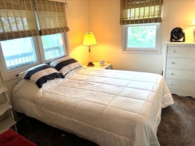 13394 77th St NW, Annandale, MN 55302 - bedroom with carpet floors