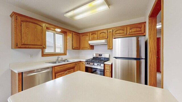 2209 18th Ave SE, Rochester, MN 55904 - kitchen with appliances with stainless steel finishes, under cabinet range hood, a sink, light countertops, and brown cabinetry