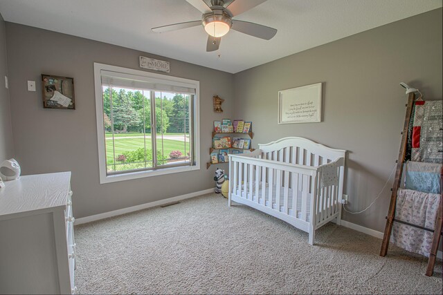 6315 386th St, Sartell, MN 56377 - photo 43