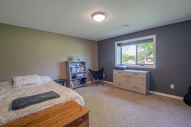 6315 386th St, Sartell, MN 56377 - photo 47