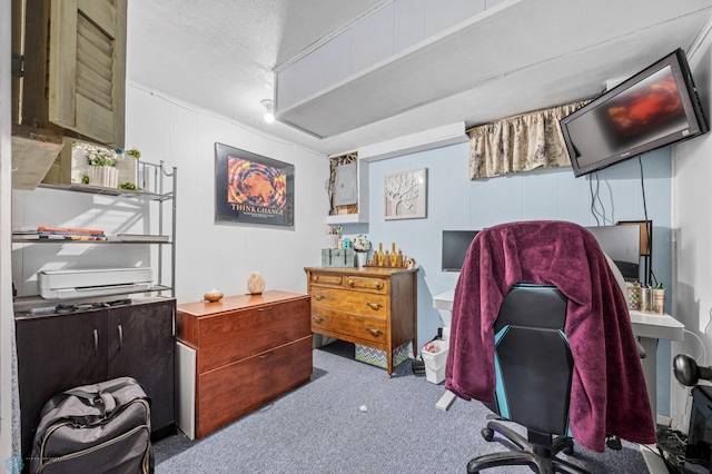 226 12th Ave W, West Fargo, ND 58078 - carpeted office space with a textured ceiling