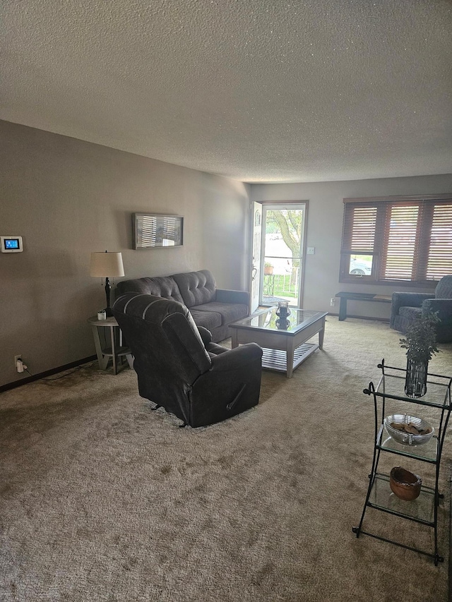 1427 Canary Dr, Albert Lea, MN 56007 - living area featuring carpet floors and a textured ceiling