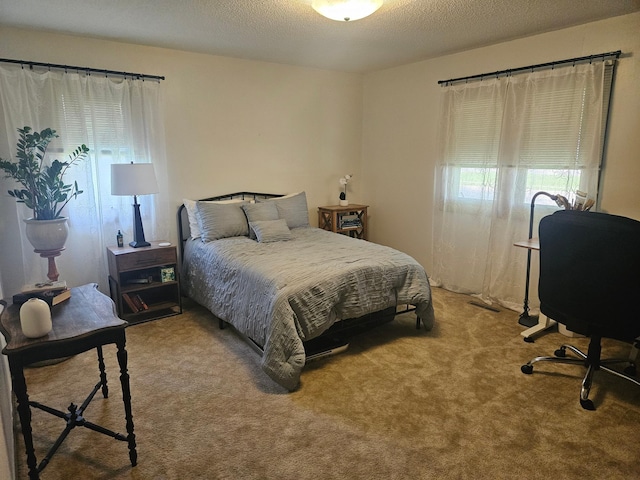 1427 Canary Dr, Albert Lea, MN 56007 - bedroom with multiple windows and carpet flooring