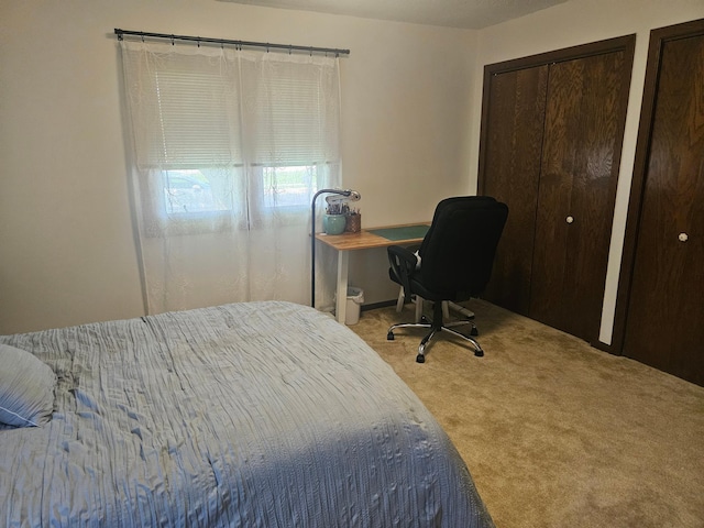 1427 Canary Dr, Albert Lea, MN 56007 - carpeted bedroom with an office area and two closets
