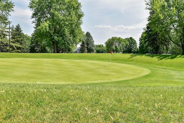 206 Skyline Hts, Wabasha, MN 55981 - surrounding community featuring a lawn, a putting area, and view of wooded area