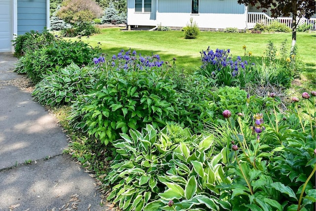 206 Skyline Hts, Wabasha, MN 55981 - view of green lawn