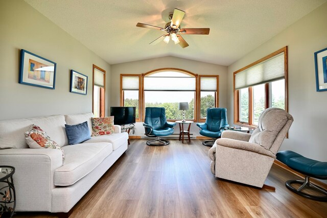 206 Skyline Hts, Wabasha, MN 55981 - living room with lofted ceiling, wood finished floors, and a ceiling fan