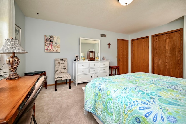 206 Skyline Hts, Wabasha, MN 55981 - bedroom with light colored carpet, two closets, and baseboards