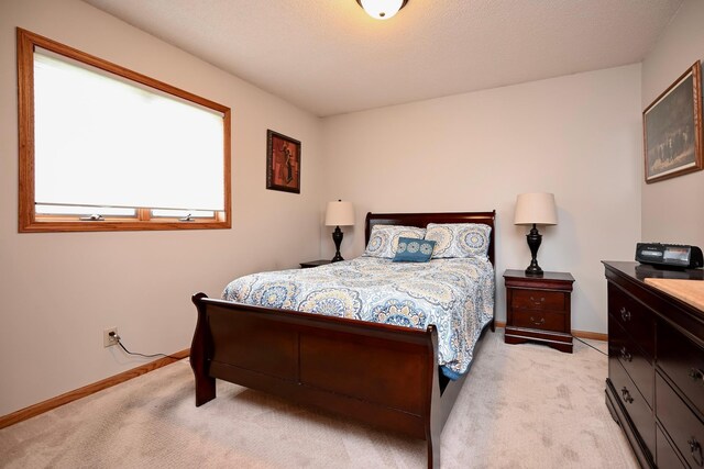 206 Skyline Hts, Wabasha, MN 55981 - bedroom with light carpet and baseboards