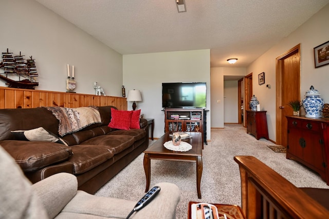206 Skyline Hts, Wabasha, MN 55981 - carpeted living area with a textured ceiling