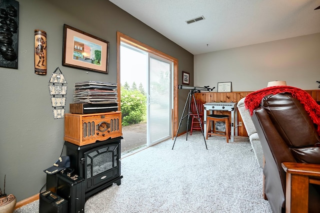 206 Skyline Hts, Wabasha, MN 55981 - office with carpet flooring