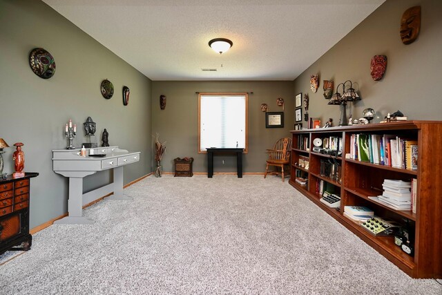 206 Skyline Hts, Wabasha, MN 55981 - living area featuring carpet flooring and baseboards