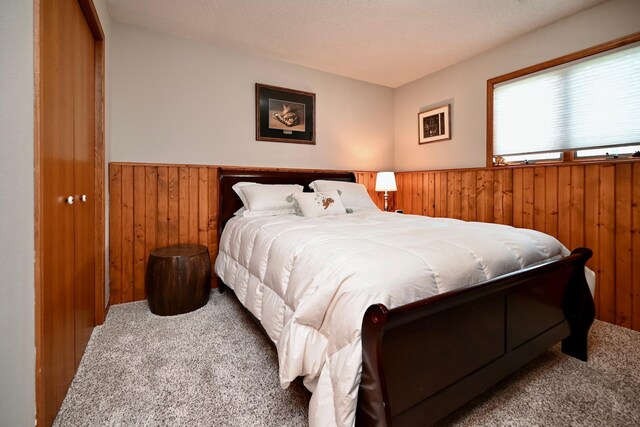 206 Skyline Hts, Wabasha, MN 55981 - bedroom featuring carpet, wooden walls, and wainscoting