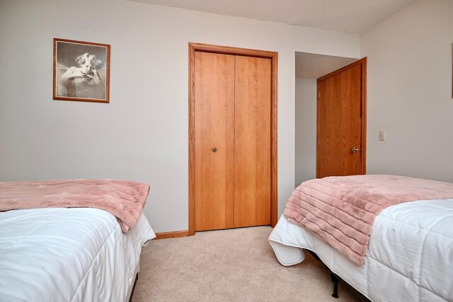 206 Skyline Hts, Wabasha, MN 55981 - bedroom with light colored carpet, a closet, baseboards, and a textured ceiling
