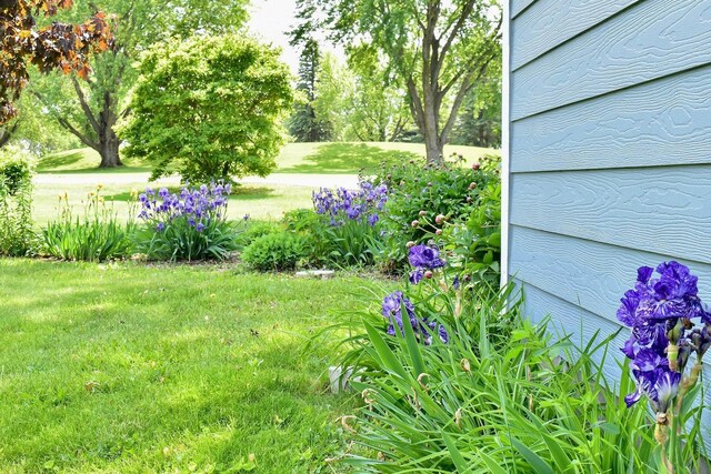 206 Skyline Hts, Wabasha, MN 55981 - view of grassy yard