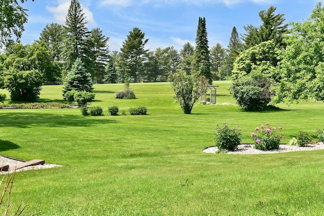 206 Skyline Hts, Wabasha, MN 55981 - view of property's community featuring a yard and view of scattered trees