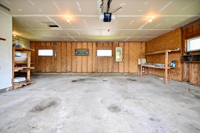 206 Skyline Hts, Wabasha, MN 55981 - garage with a garage door opener and a workshop area