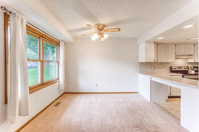 18705 Clear View Ct, Minnetonka, MN 55345 - photo 10