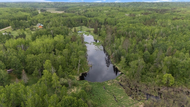 3573 Kallio Rd, Orr, MN 55771 - aerial view of property's location featuring a heavily wooded area and a nearby body of water