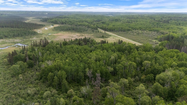 3573 Kallio Rd, Orr, MN 55771 - bird's eye view of a forest