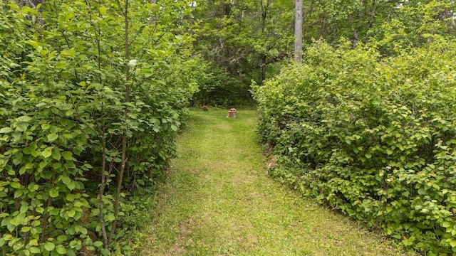3573 Kallio Rd, Orr, MN 55771 - view of yard