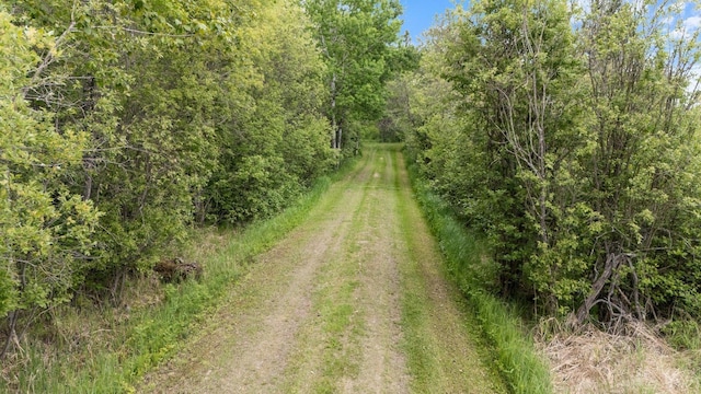 3573 Kallio Rd, Orr, MN 55771 - view of street with a view of trees