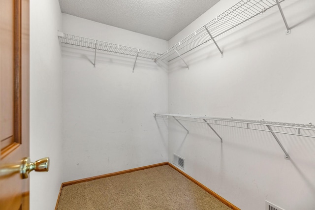6260 Wessel Ct, Eden Prairie, MN 55346 - walk in closet with light colored carpet