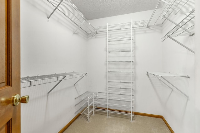 6260 Wessel Ct, Eden Prairie, MN 55346 - walk in closet with carpet
