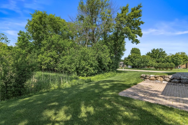 6260 Wessel Ct, Eden Prairie, MN 55346 - view of green lawn