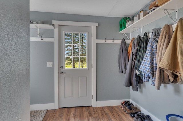 37454 605th Ave, Bluffton Twp, MN 56518 - mudroom featuring wood finished floors and baseboards