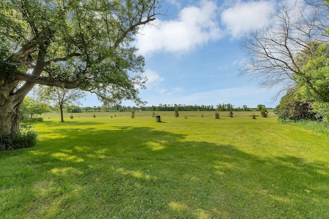 37454 605th Ave, Bluffton Twp, MN 56518 - view of green lawn with a view of rural / pastoral area