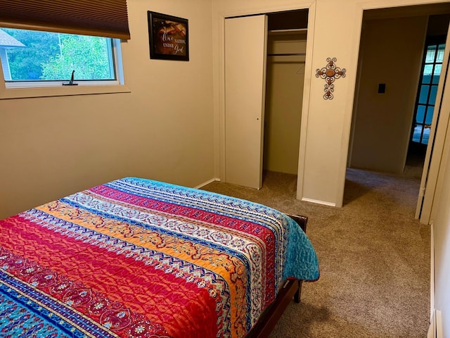 30055 Shore Dr, Pengilly, MN 55775 - bedroom with carpet, multiple windows, and a closet
