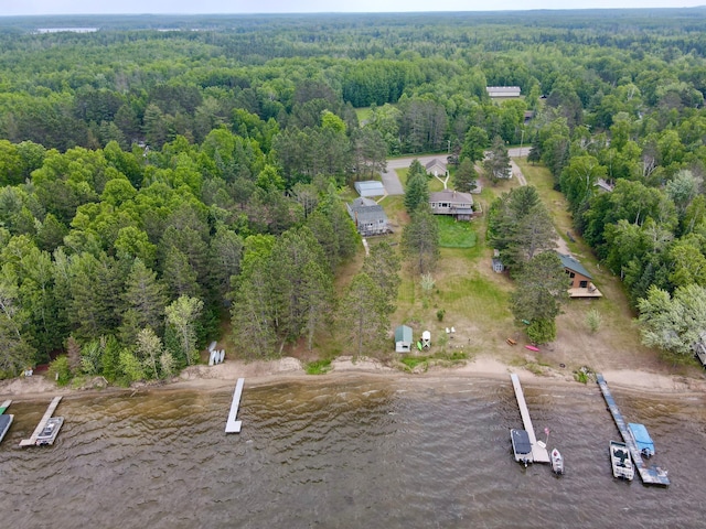 30055 Shore Dr, Pengilly, MN 55775 - aerial view of property and surrounding area with a forest