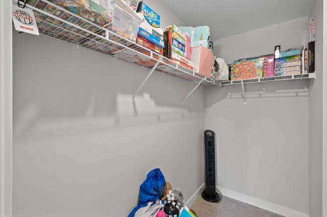 5945 178th St W, Lakeville, MN 55044 - view of walk in closet