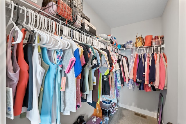 5945 178th St W, Lakeville, MN 55044 - spacious closet with carpet floors