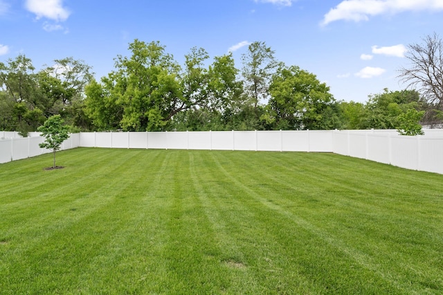 5945 178th St W, Lakeville, MN 55044 - view of yard