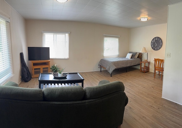 604 10th Ave, Grand Rapids, MN 55744 - bedroom featuring multiple windows and wood finished floors