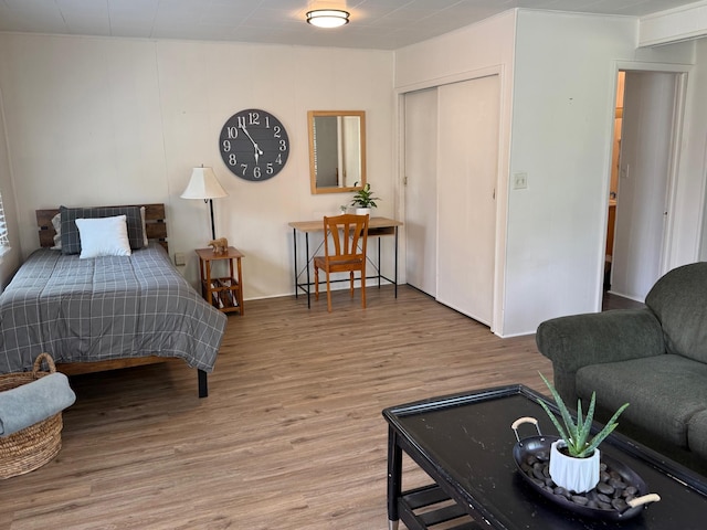 604 10th Ave, Grand Rapids, MN 55744 - bedroom featuring wood finished floors and a closet