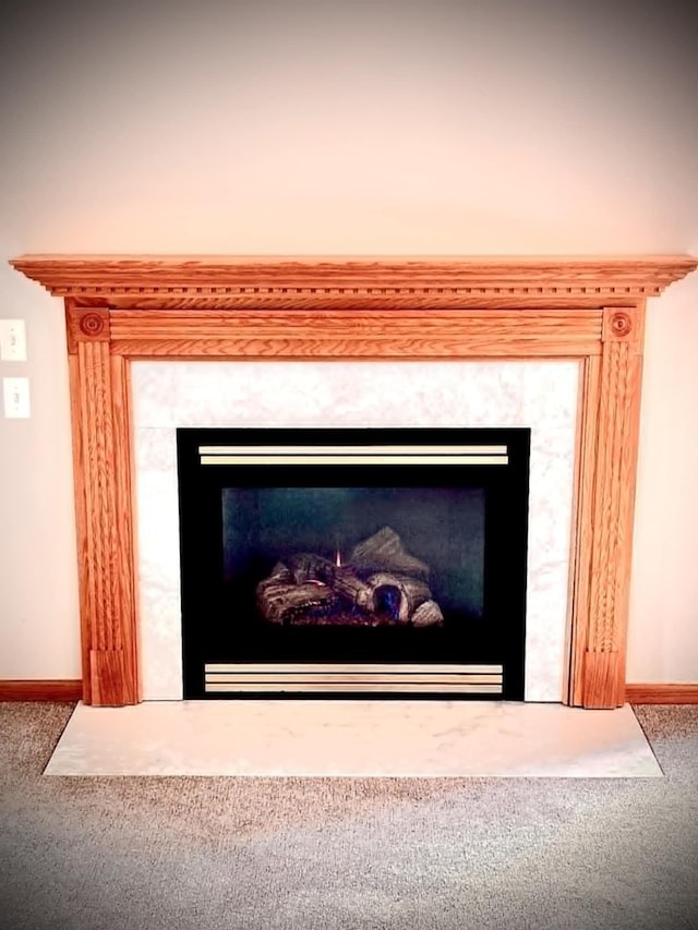 1855 Pioneer Ln Unit 1855, Centerville, MN 55038 - detailed view of a fireplace with flush hearth and carpet flooring