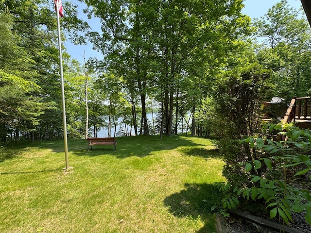 27315 Stark Lake Rd, Aitkin, MN 56431 - view of green lawn with a water view