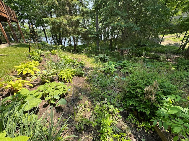 27315 Stark Lake Rd, Aitkin, MN 56431 - view of nature with a nearby body of water