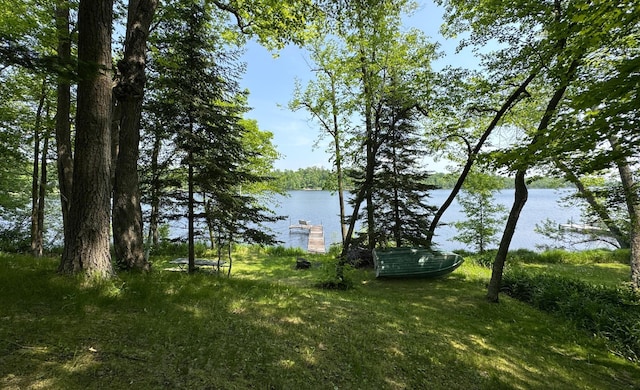 27315 Stark Lake Rd, Aitkin, MN 56431 - water view