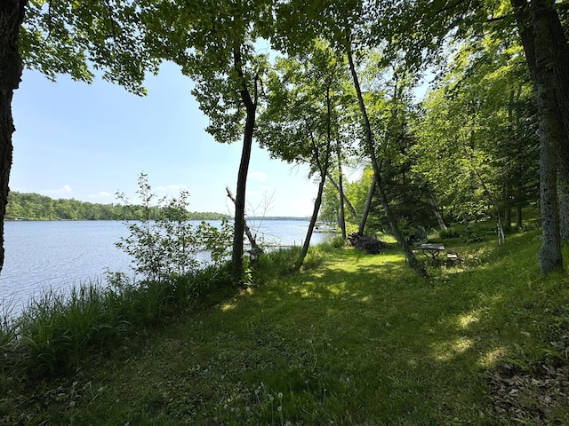 27315 Stark Lake Rd, Aitkin, MN 56431 - water view