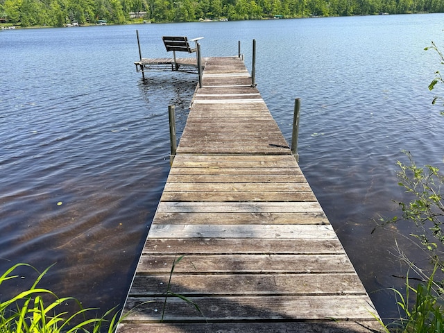 27315 Stark Lake Rd, Aitkin, MN 56431 - dock area with a water view and a view of trees
